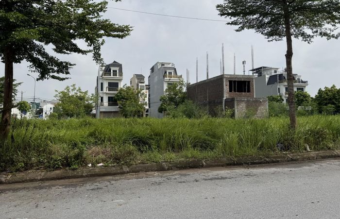 Nhiều diện tích tại Dự án khu nhà ở Thuần Nghệ (phường Sơn Tây) chưa được xây dựng. Ảnh Thiện Mỹ