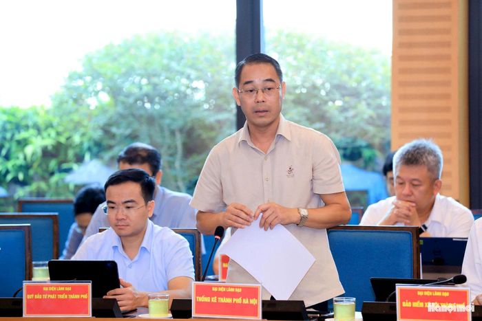 Đại diện lãnh đạo Thống kê thành phố Hà Nội phát biểu. Ảnh: Viết Thành
