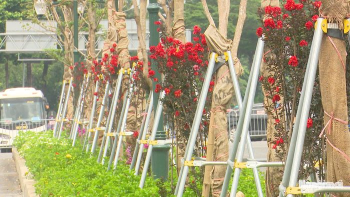 Tuyến đường được trồng cây xanh tạo cảnh quan, bóng mát. Ảnh: Đỗ Công