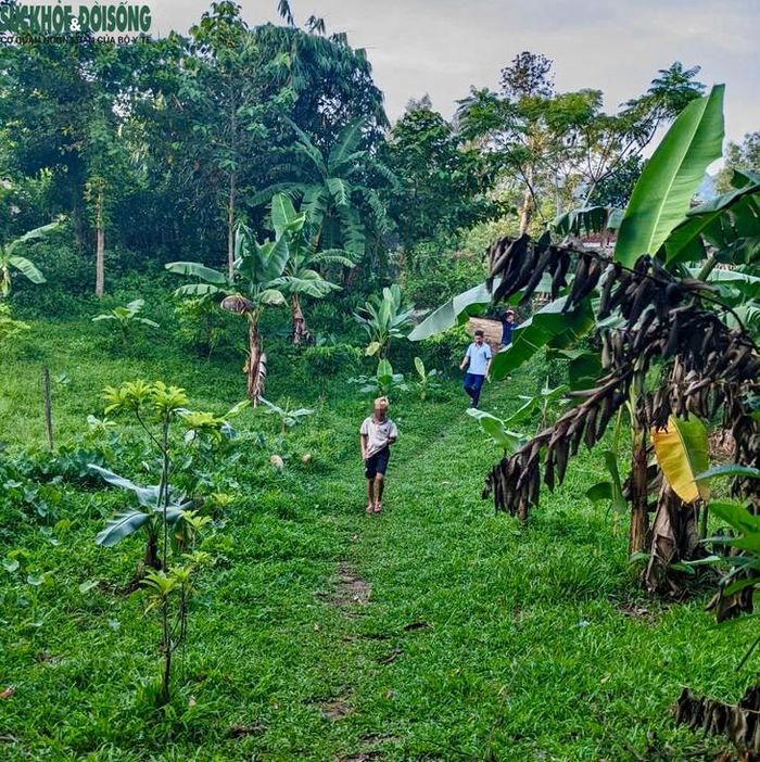 Giáo viên phải đến từng nhà, lên nương rẫy để tìm học sinh.