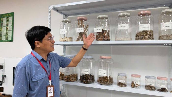 Việt Nam được đánh giá là một trong những quốc gia có nguồn tài nguyên dược liệu đa dạng, phong phú.  Ảnh: Thái Bình
