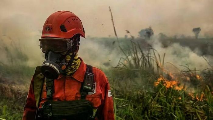 Các vụ cháy rừng ở Indonesia ngày càng trầm trọng, tạo lớp khói độc hại bao phủ khu vực