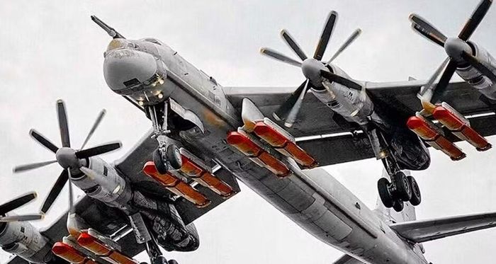Những thông số này tạo nên hình ảnh đặc trưng của Tu-95. Máy bay không có tốc độ của những oanh tạc cơ phản lực hiện đại, nhưng bù lại bằng tầm bay rất lớn và khả năng hoạt động đường dài.
