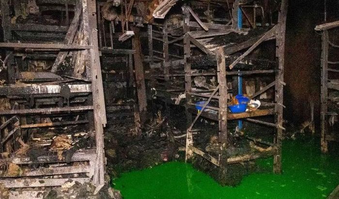 Tuy nhiên, các điều tra viên loại trừ nguyên nhân do sự cố điện hoặc thời tiết và nhận định yếu tố con người có thể liên quan, do sơ suất hoặc cố ý.