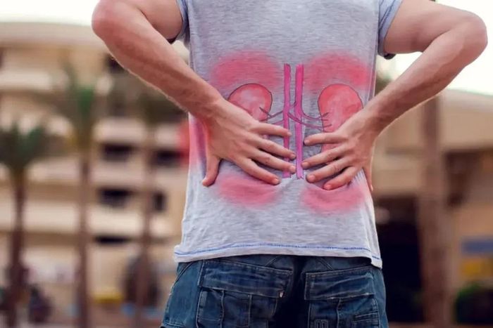 Bệnh thận có thể âm thầm tiến triển trong cơ thể suốt nhiều năm mà không gây ra bất kỳ triệu chứng rõ ràng nào. Ảnh: Shutterstock.