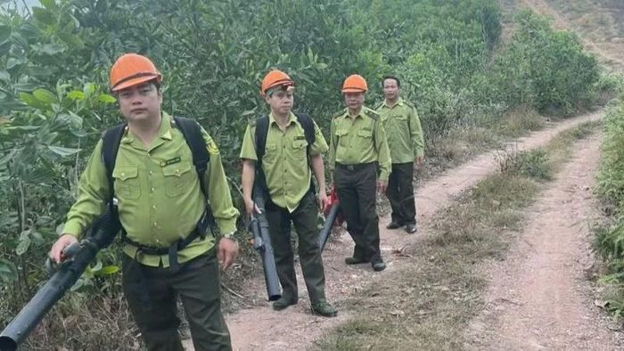 Lực lượng Kiểm lâm tỉnh Bắc Ninh thực hiện phòng, chống cháy rừng. (Ảnh: ĐH)