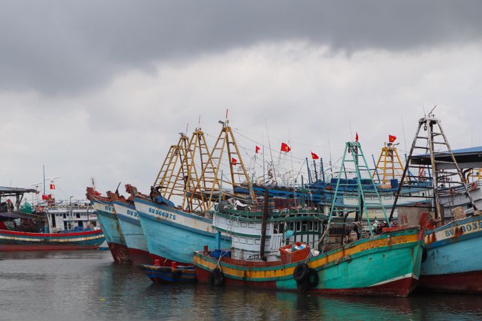  Tàu đánh bắt xa bờ cập cảng cá Cát Lở. Ảnh: THÀNH HUY 