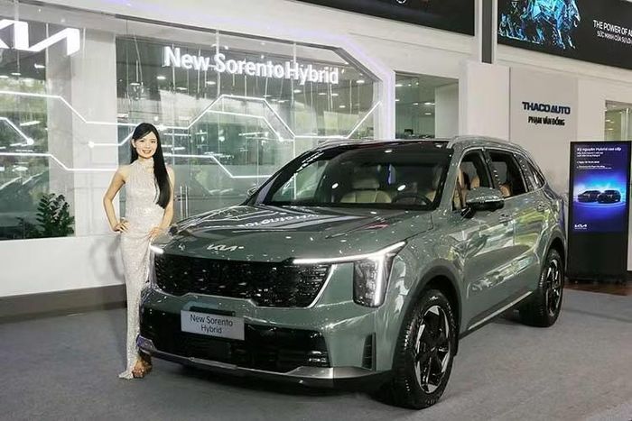 Tại Việt Nam Kia cũng đang bán Sorento HEV nhưng với tổng công suất kết hợp công bố là 232 mã lực và mô-men xoắn cực đại 367Nm.