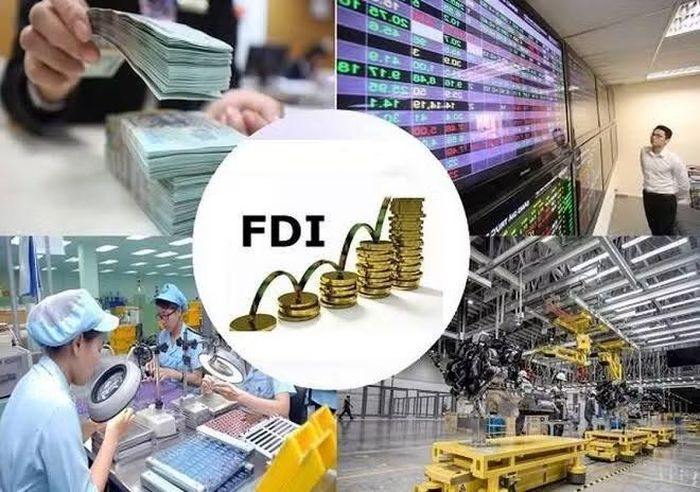 Điều kiện cấp giấy phép kinh doanh cho tổ chức kinh tế có vốn đầu tư nước ngoài. Ảnh minh họa - CP