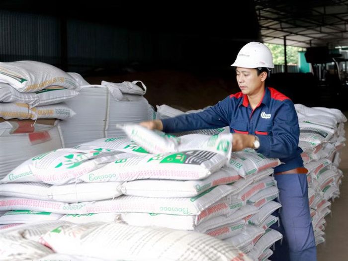 Giá phân bón tăng mạnh, nhiều doanh nghiệp tận dụng thúc đẩy xuất khẩu. Ảnh: TTXVN.