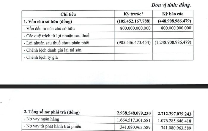 Cơ cấu tài chính của Đua Fat trong 6 tháng đầu năm. Ảnh: Chụp từ BCTC