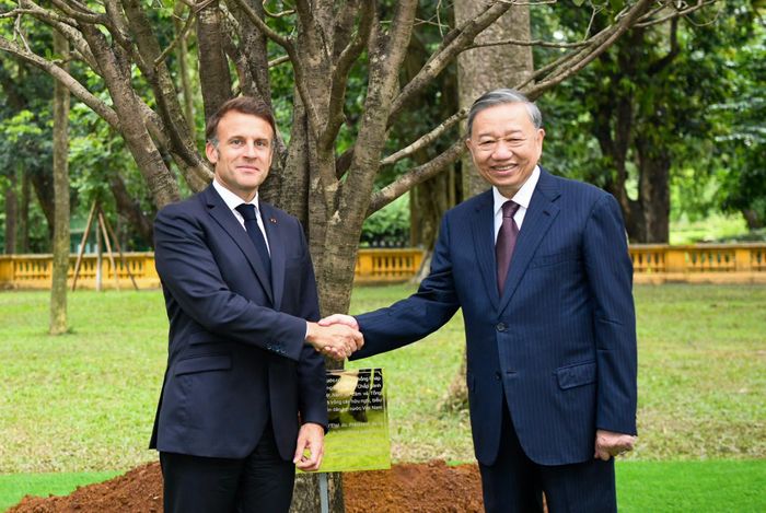 Tổng Bí thư, Chủ tịch nước Tô Lâm cùng Tổng thống Emmanuel Macron trồng cây mộc hương trong Khu Di tích Chủ tịch Hồ Chí Minh. Ảnh: Phạm Hải