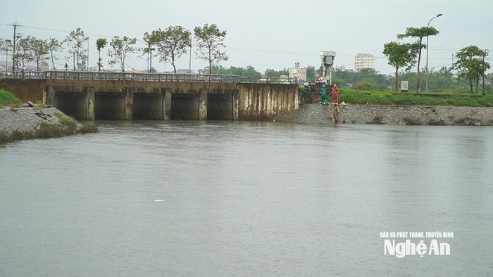 Cửa xả Kênh Bắc ra Hồ điều hòa Hưng Hòa. Ảnh: Võ Hải