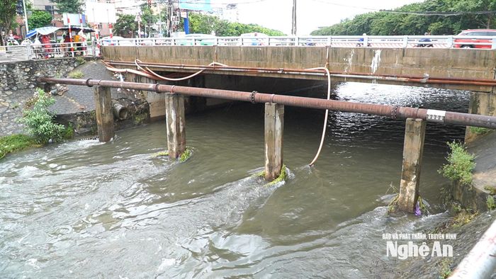 Kênh Bắc đoạn chảy qua Cầu Bưu Điện, đầu đường Lê Viết Thuật. Ảnh: Võ Hải