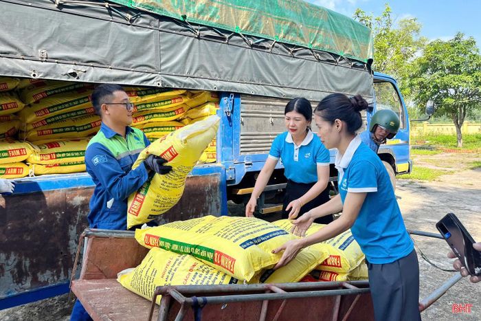 Các hộ được cấp phát miễn phí thức ăn cho gà.