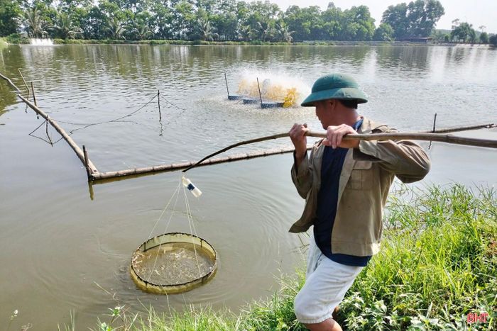 Mô hình của anh Trần Phi Châu (xã Mai Phụ) đang duy trì hoạt động, nhưng quy mô nuôi đã giảm.