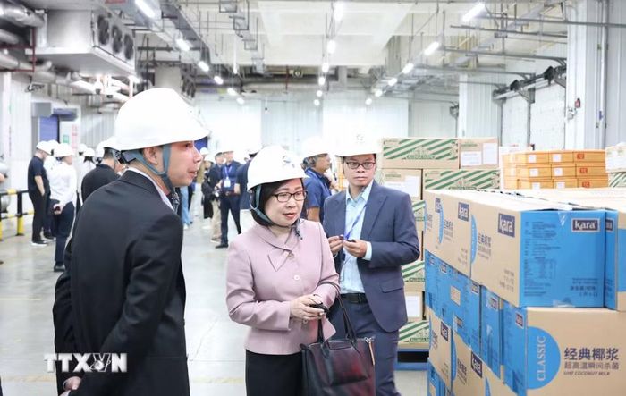 Phó Tổng Giám đốc Thông tấn xã Việt Nam Đoàn Thị Tuyết Nhung cùng đại biểu các hãng thông tấn, truyền thông khu vực châu Á-Thái Bình Dương tham quan, khảo sát một số cơ sở kinh tế, văn hóa tại Quảng Châu, Phật Sơn và Thâm Quyến… (Ảnh: Công Tuyên/TTXVN)