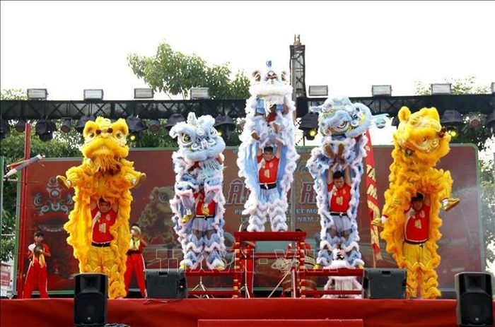Liên hoan có sự tham gia của 9 đội lân sư rồng chuyên nghiệp đến từ các Hội quán, câu lạc bộ, đơn vị ở Thành phố Hồ Chí Minh, Phan Thiết và các địa phương lân cận.
