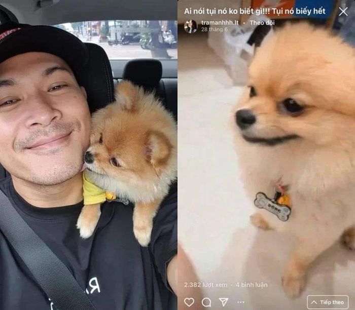 Cả hai từng bị soi hint nuôi chung thú cưng. Ảnh: FBNV