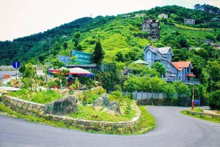 Những con dốc ở Tam Đảo. Ảnh: Sưu tầm