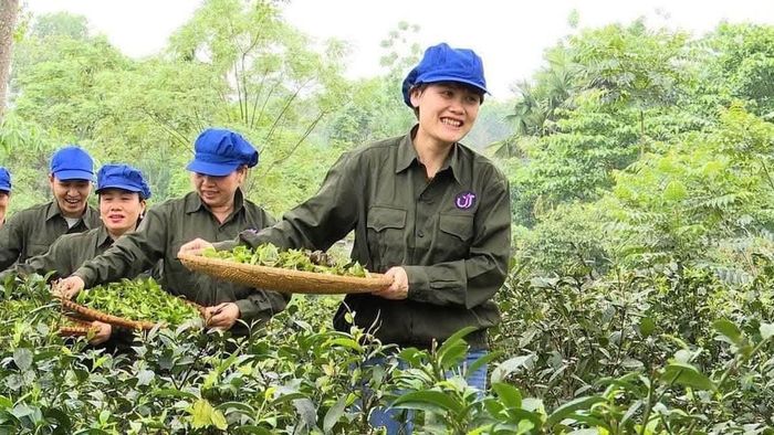 Quá trình sản xuất, hành trình xây dựng thương hiệu được chia sẻ tới cộng đồng