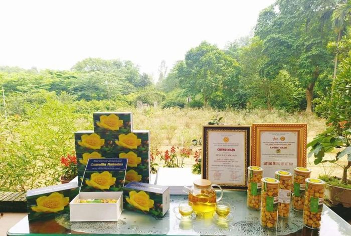 Các sản phẩm từ trà hoa vàng mang lại giá trị sức khoẻ cho xã hội của chị Nguyễn Thanh Tuyền