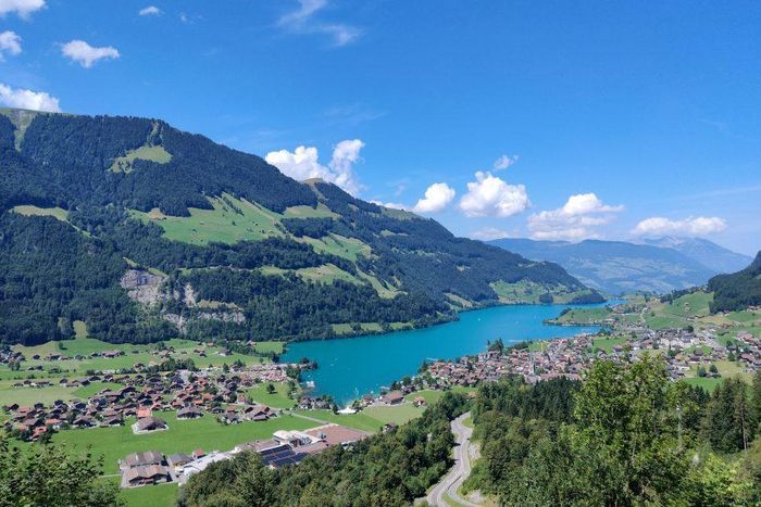 Ảnh: alionswitzerland.com