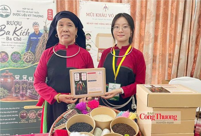 Dự án thổ dược kỳ thượng – Hệ sinh thái dược liệu xanh từ ba kích tím bản địa.