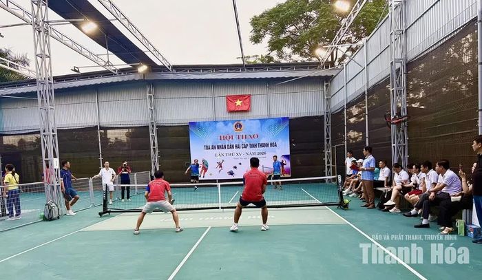 Các vận động viên thi đấu môn pickleball