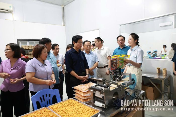 Đồng chí Hoàng Quốc Khánh, Ủy viên Trung ương Đảng, Bí thư Tỉnh ủy cùng lãnh đạo một số sở, ngành, cơ quan, đơn vị kiểm tra thực tế mô hình chế biến mắc ca trên địa bàn tỉnh