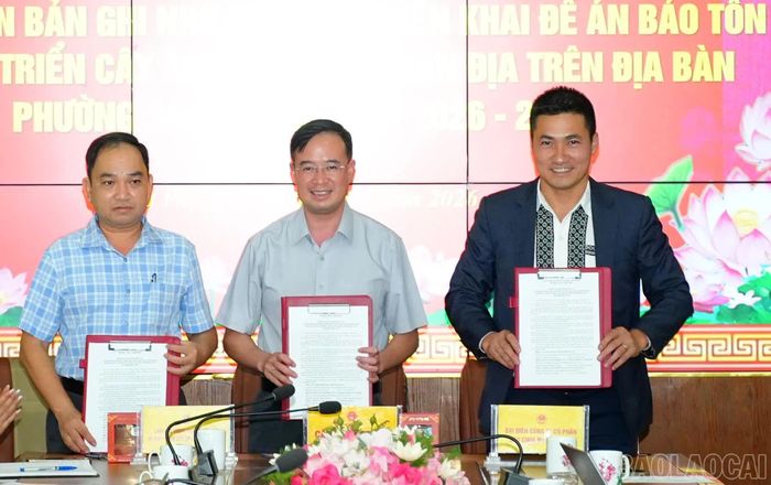 Ký kết biên bản ghi nhớ hợp tác triển khai Đề án "Bảo tồn và phát triển cây ăn quả ôn đới bản địa trên địa bàn phường Sa Pa, giai đoạn 2026 - 2031".