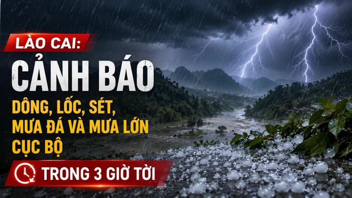 Ảnh minh họa (AI).