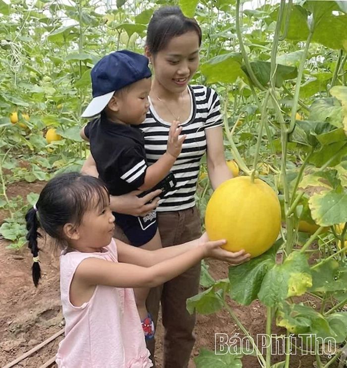 Những vị khách nhỏ tuổi cũng tỏ ra thích thú khi được trực tiếp nhìn những quả dưa được trồng và thu hái ngay tại vườn.