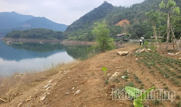 Ngoài việc chấp hành xử phạt hành chính, ông Quang và ông Tú bị buộc khôi phục hiện trạng, tháo dỡ các hạng mục vi phạm trên đất. Đến nay, việc khắc phục đã hoàn thành; UBND xã Đà Bắc tiếp tục theo dõi, giám sát, xử lý nếu tái phạm.