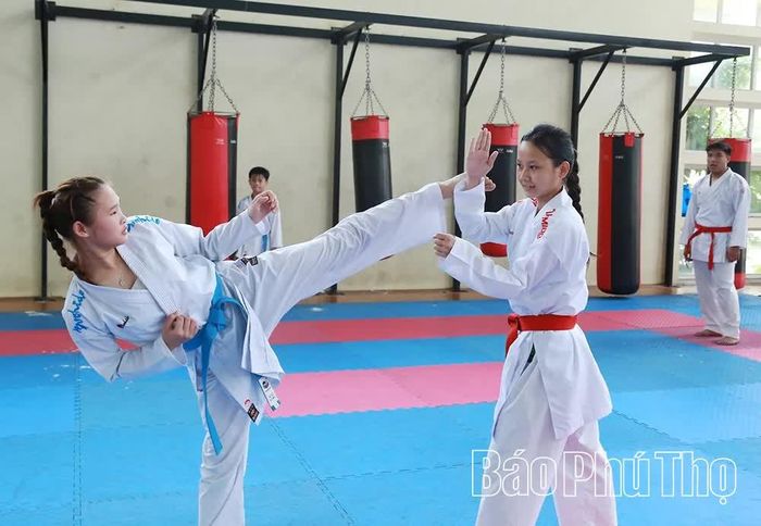 VĐV Karate luyện tập đối kháng.