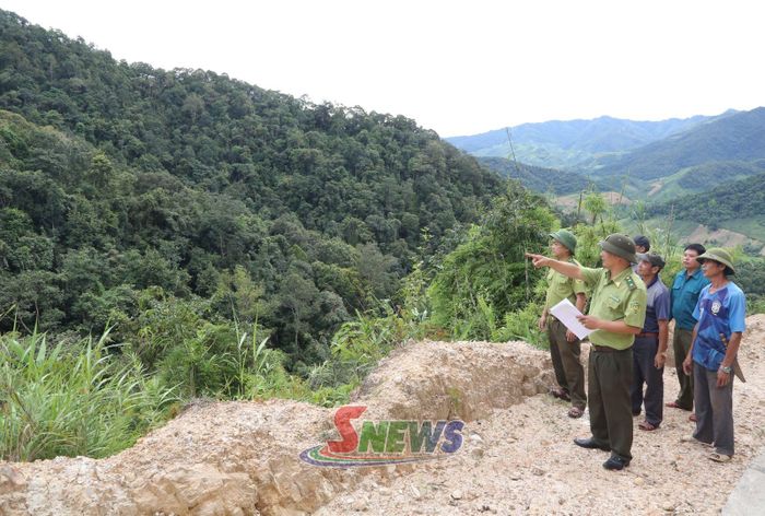 Những cánh rừng xanh ở xã Mường Lạn.