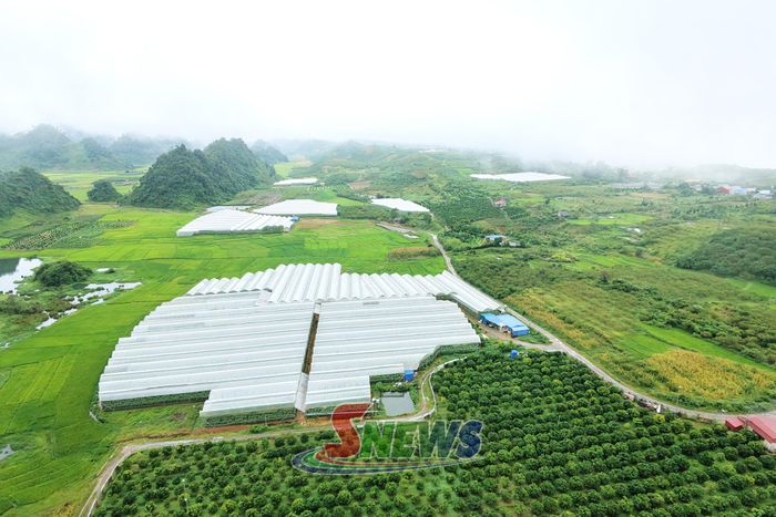 Khu sản xuất nông nghiệp trong nhà lưới, nhà màng của xã Tân Yên.