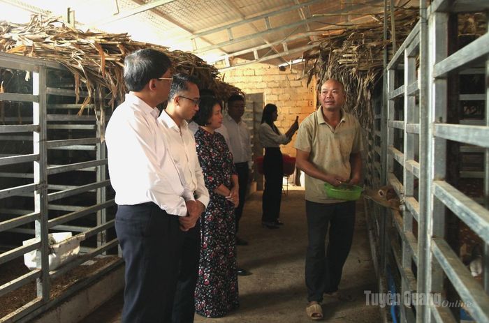 Đồng chí Hà Trung Kiên tham quan mô hình nuôi hươu tại thôn Hạt Đạt, xã Mậu Duệ.