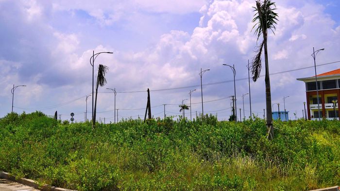 Khi các tồn tại, vướng mắc được xử lý dứt điểm, Khu Nông nghiệp ứng dụng công nghệ cao phát triển tôm Bạc Liêu sẽ phát huy giá trị bền vững.