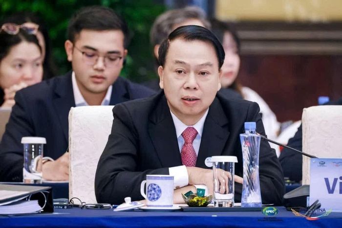 Thứ trưởng Bộ Tài chính Nguyễn Đức Chi phát biểu tại hội nghị.