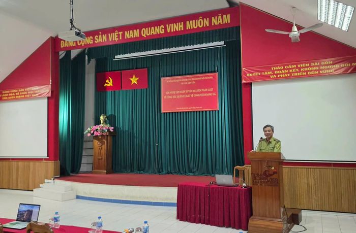 Ông Nguyễn Quang Hoàng – Phó Trưởng phòng Quản lý lâm sản và Xử lý vi phạm, Chi cục Kiểm lâm Thành phố.