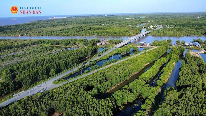 Khai thác hợp lý các giá trị kinh tế, sinh thái và môi trường của rừng là cách để tạo nguồn lực tái đầu tư cho công tác bảo vệ và phát triển rừng. Ảnh: Hữu Tùng