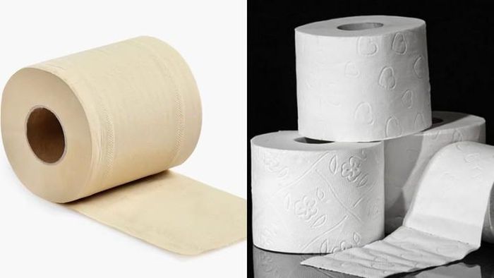 Giấy vệ sinh trở thành lựa chọn chủ đạo. Ảnh minh họa.