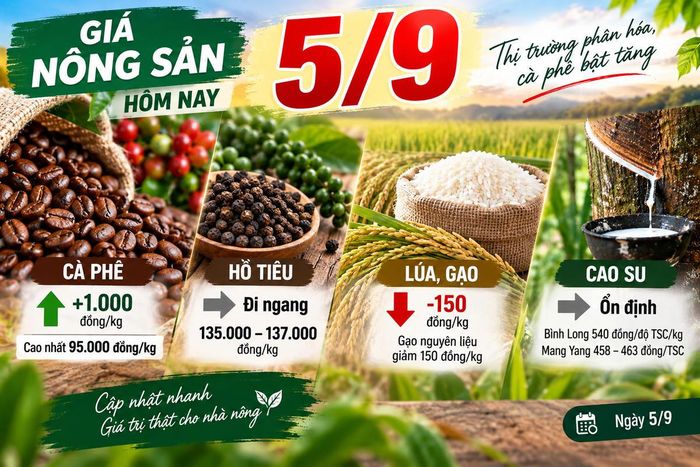 Giá nông sản hôm nay 5/9. Ảnh được tạo với sự hỗ trợ của AI. 