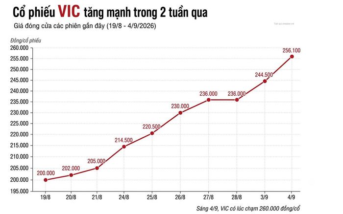 Diễn biến đà tăng giá của cổ phiếu VIC trong 2 tuần qua. 