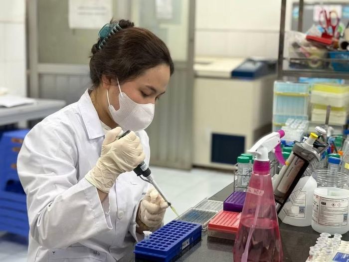 Nghiên cứu sinh ngành Công nghệ sinh học, Trường Đại học Khoa học Tự nhiên, Đại học Quốc gia Hà Nội đang làm việc trong phòng thí nghiệm. Ảnh: PV