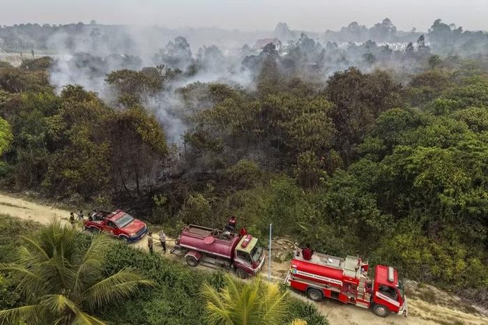 Lực lượng cứu hỏa "chiến đấu" với các đám cháy đất than bùn ở Sintang, Tây Kalimantan ngày 5-9-2026