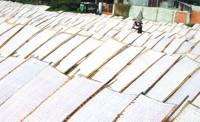 Nghề làm bánh tráng phơi sương vùng đất Trảng Bàng.