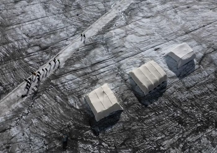 Cừu phủ kín bề mặt sông băng Tsanfleuron ở Les Diablerets (Thụy Sĩ) trong cuộc thử nghiệm sử dụng len cừu như một vật liệu phân hủy sinh học nhằm làm chậm quá trình tan băng ngày 2/9.