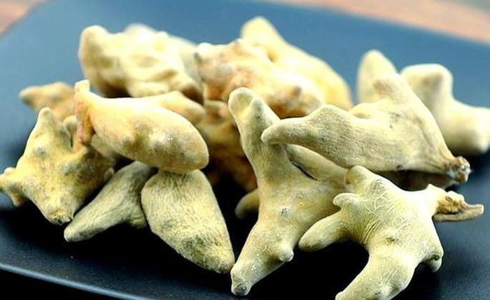 Ngũ bội tử là dòng dược liệu quý ở Trung Quốc. Ảnh: Baidu.
